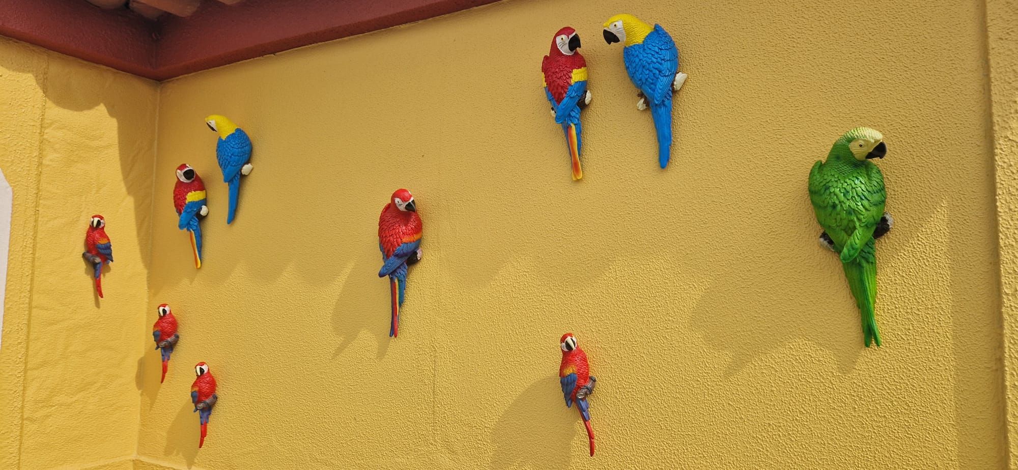 Papagaios decorativos coloridos fixados em paredes amarelas texturadas sob uma cobertura vermelha
