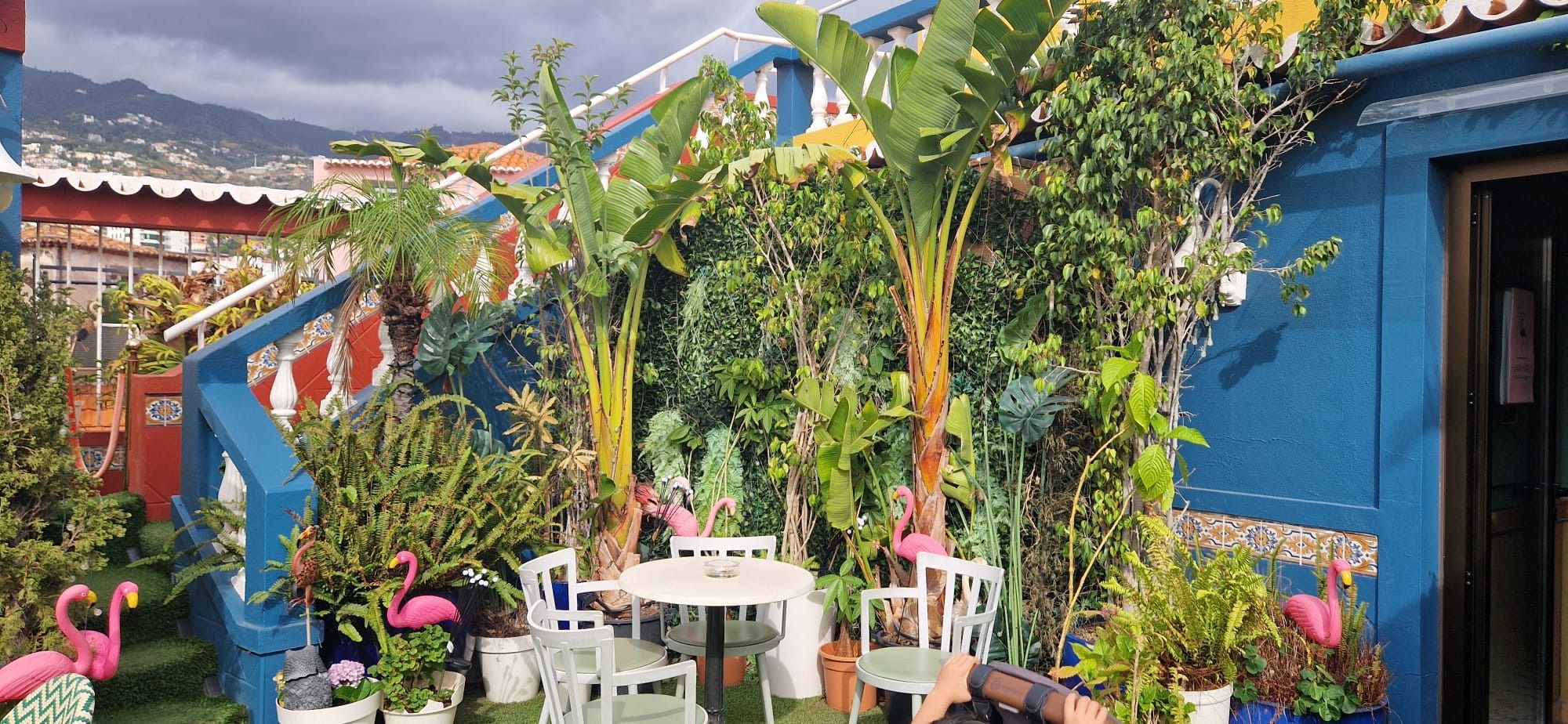 Mesas e cadeiras no terraço entre plantas frondosas, flamingos decorativos cor-de-rosa e paredes azuis
