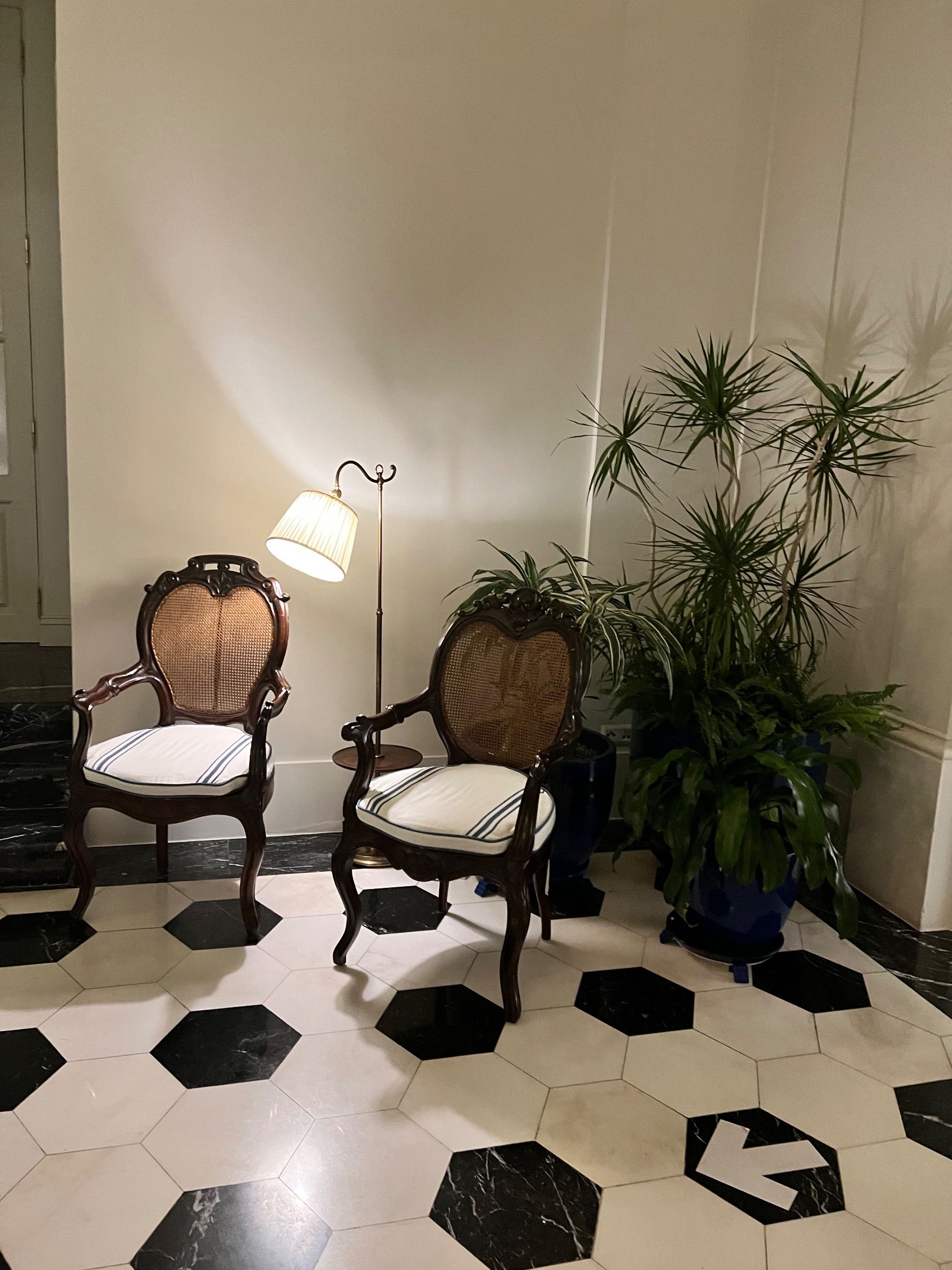Two cane-backed wooden armchairs beside a floor lamp and plants in blue pots