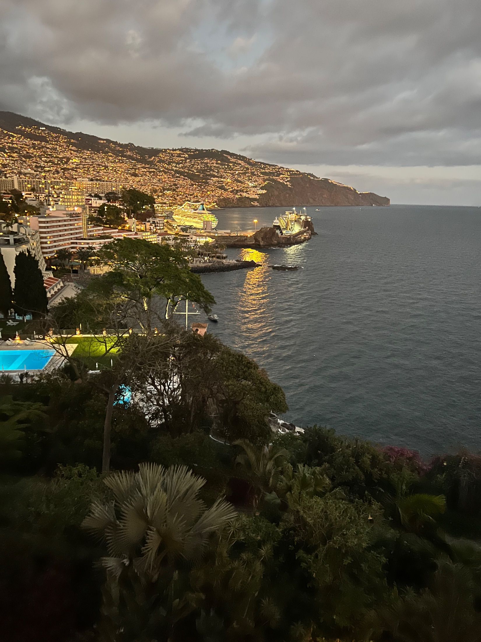 Funchal harbour at dusk with illuminated ships, hillside buildings and gardens in the foreground