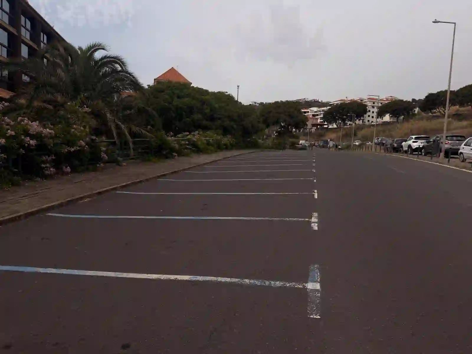Empty free car park above Praia dos Reis Magos with palm trees and apartments behind