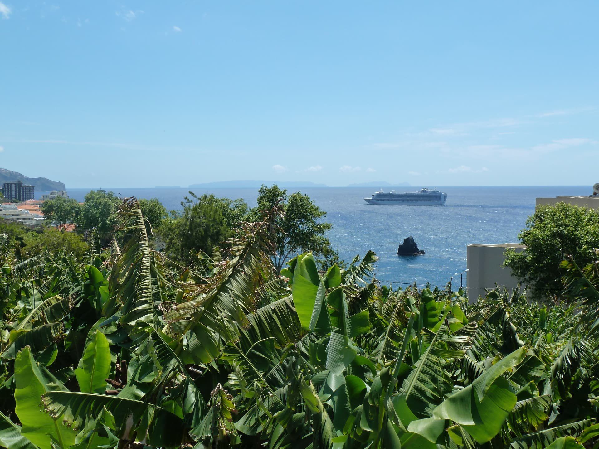 Cruise ship seen over banana plants on the Madeira coast.