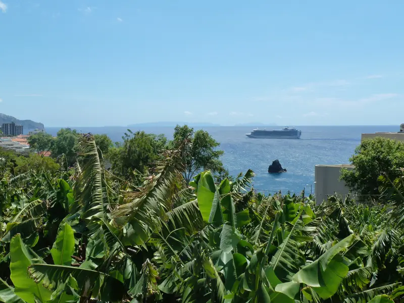Cruise ship seen over banana plants on the Madeira coast.