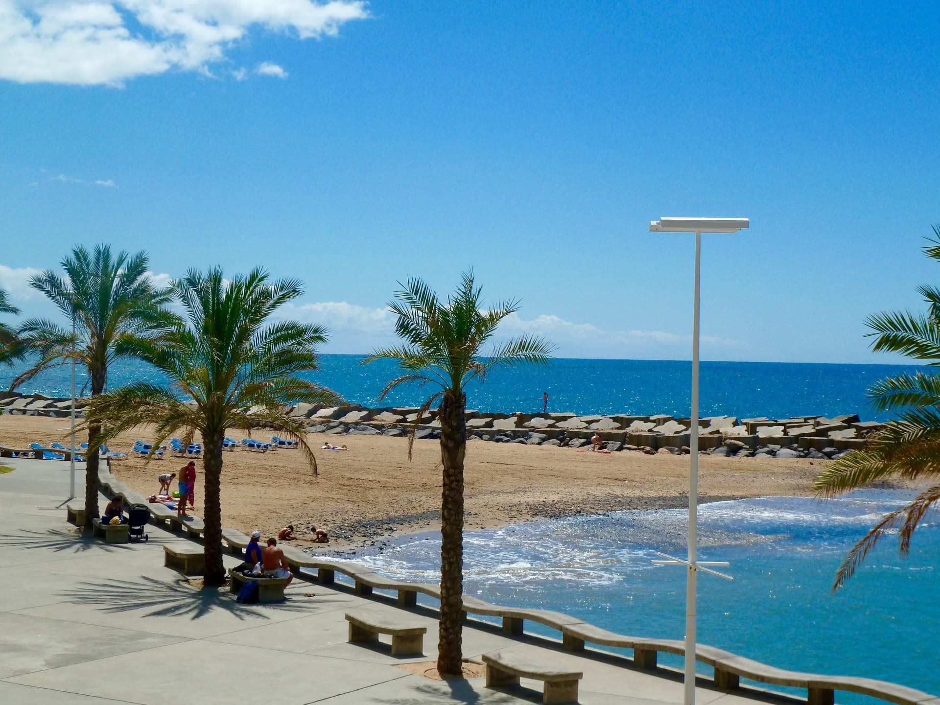 Palm-lined seafront promenade and breakwater on a sunny day in Madeira.