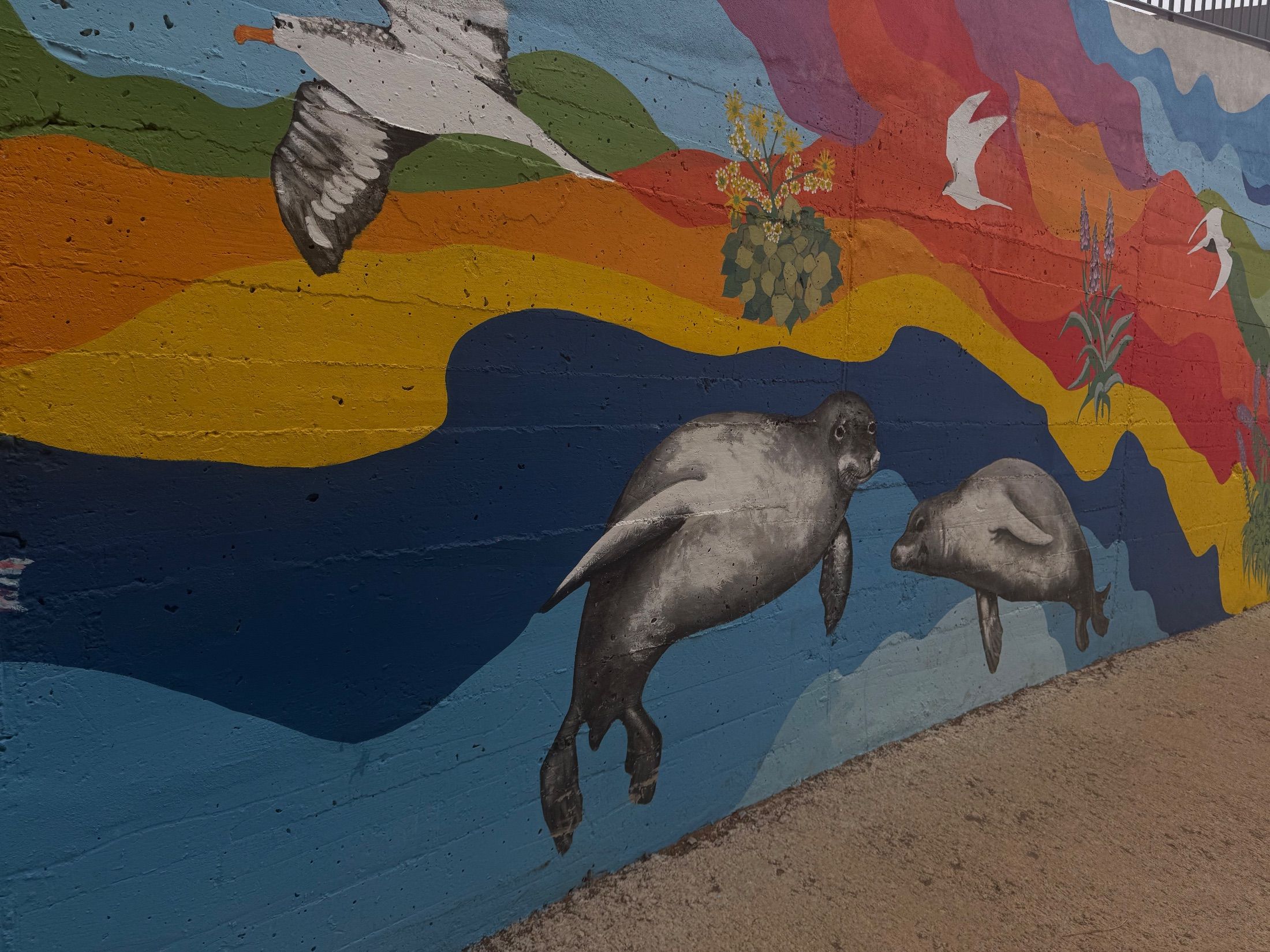 Wall mural depicting seals, seabirds and flowering plants against bands of colour