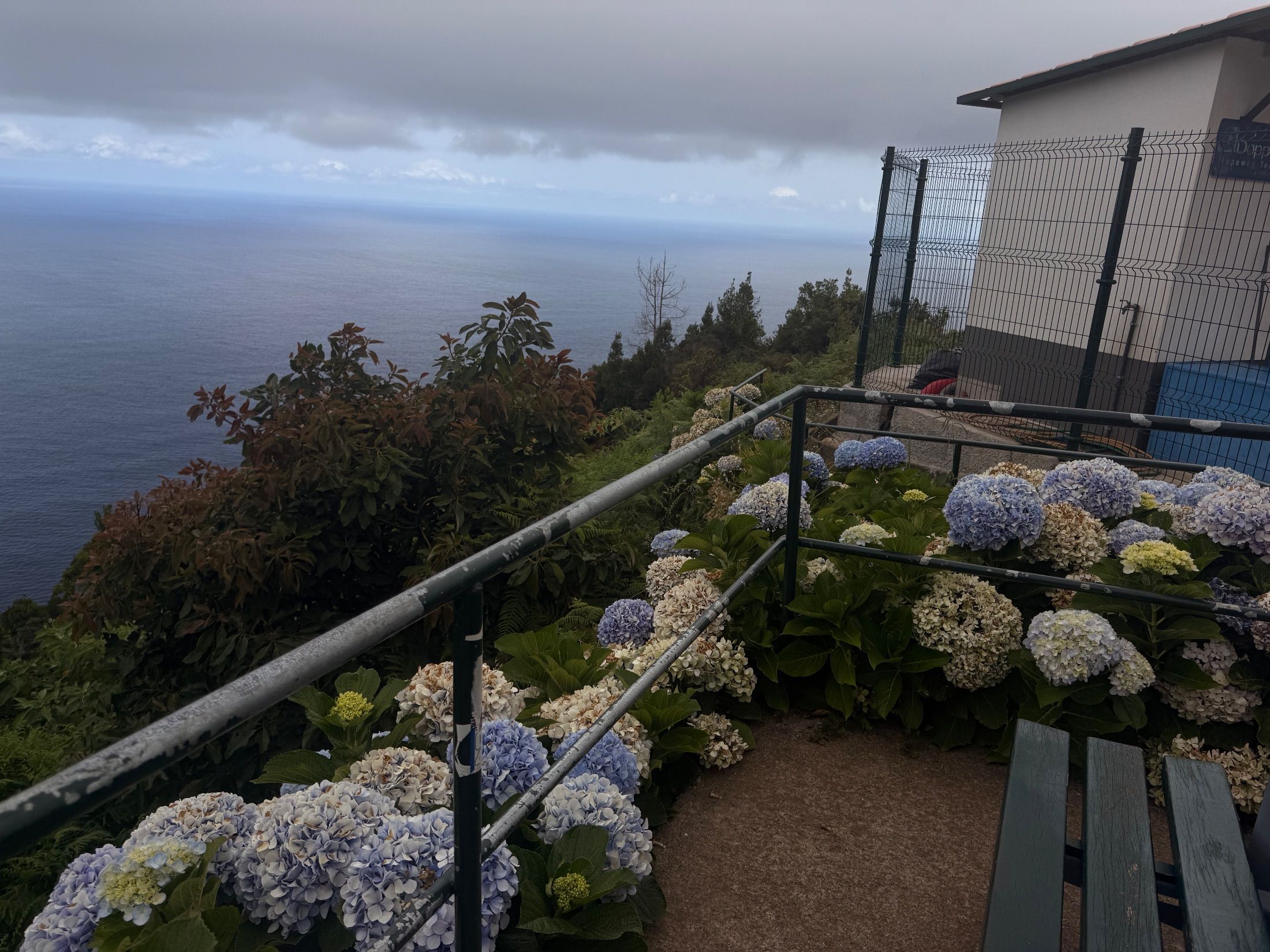 Blue and white hydrangeas beside metal railings overlooking the sea under grey clouds