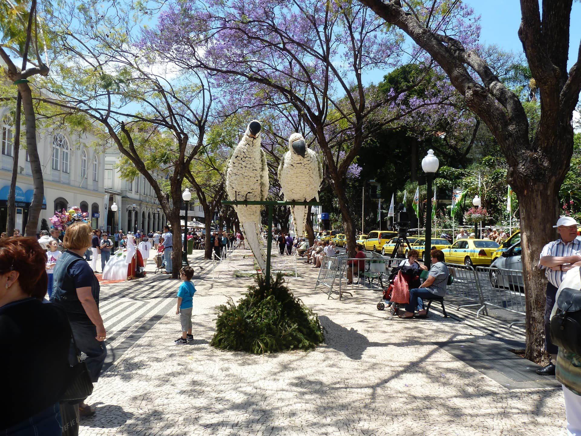 Large floral display with white bird sculptures at the Madeira Flower Festival in Funchal.