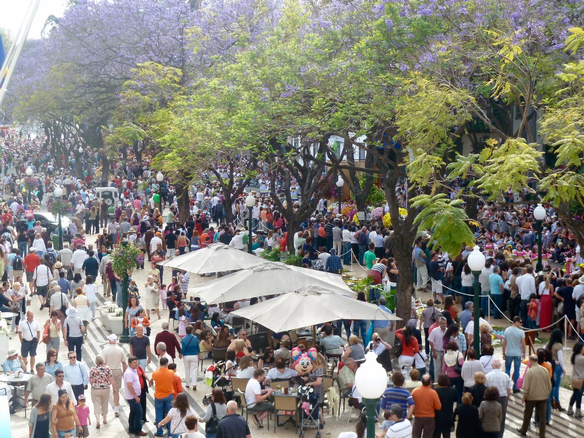 Packed Flower Festival street scene in Funchal with stalls and umbrellas.