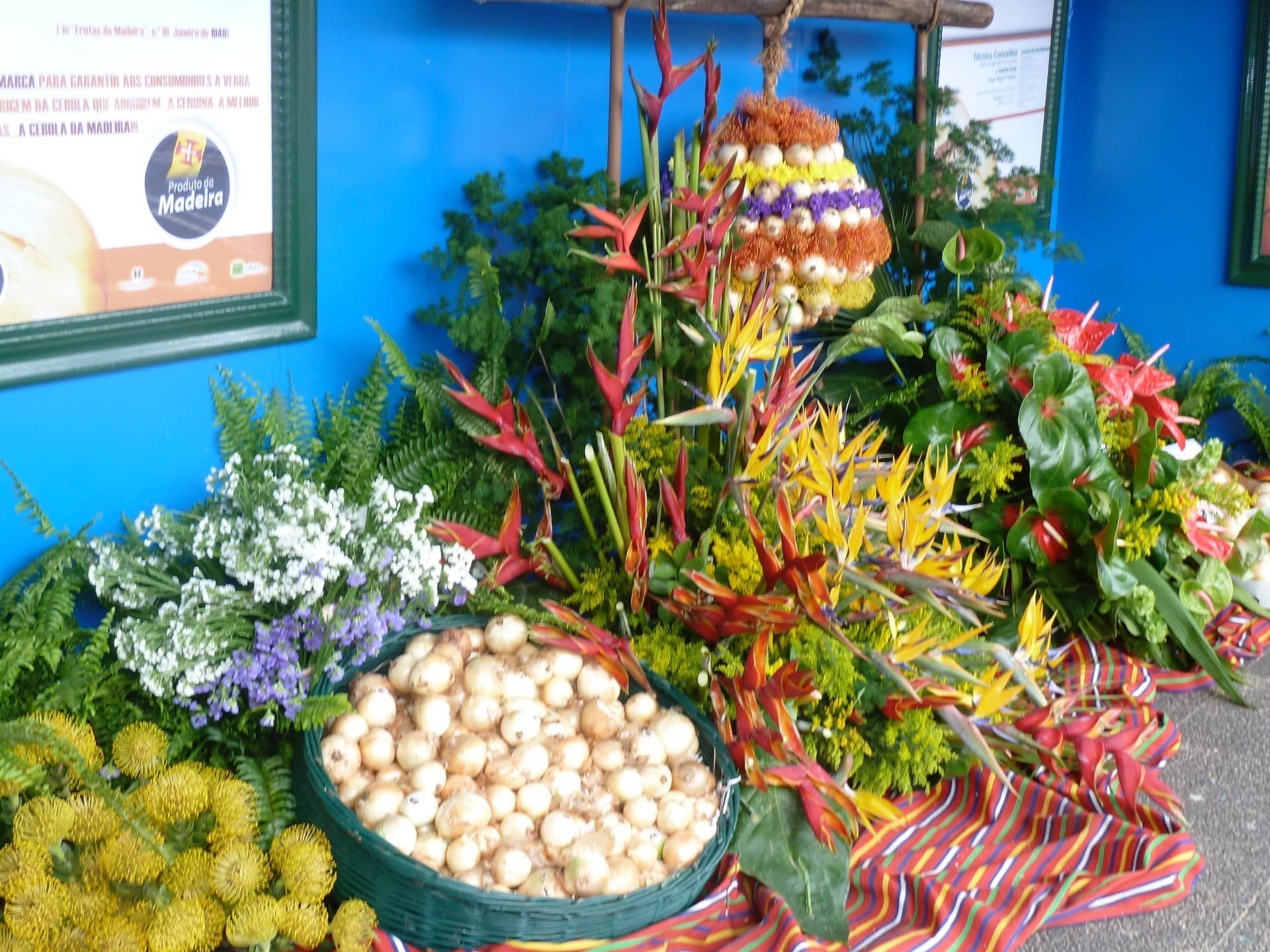 Floral display with birds-of-paradise and a large onion arrangement at the Caniço Onion Festival.