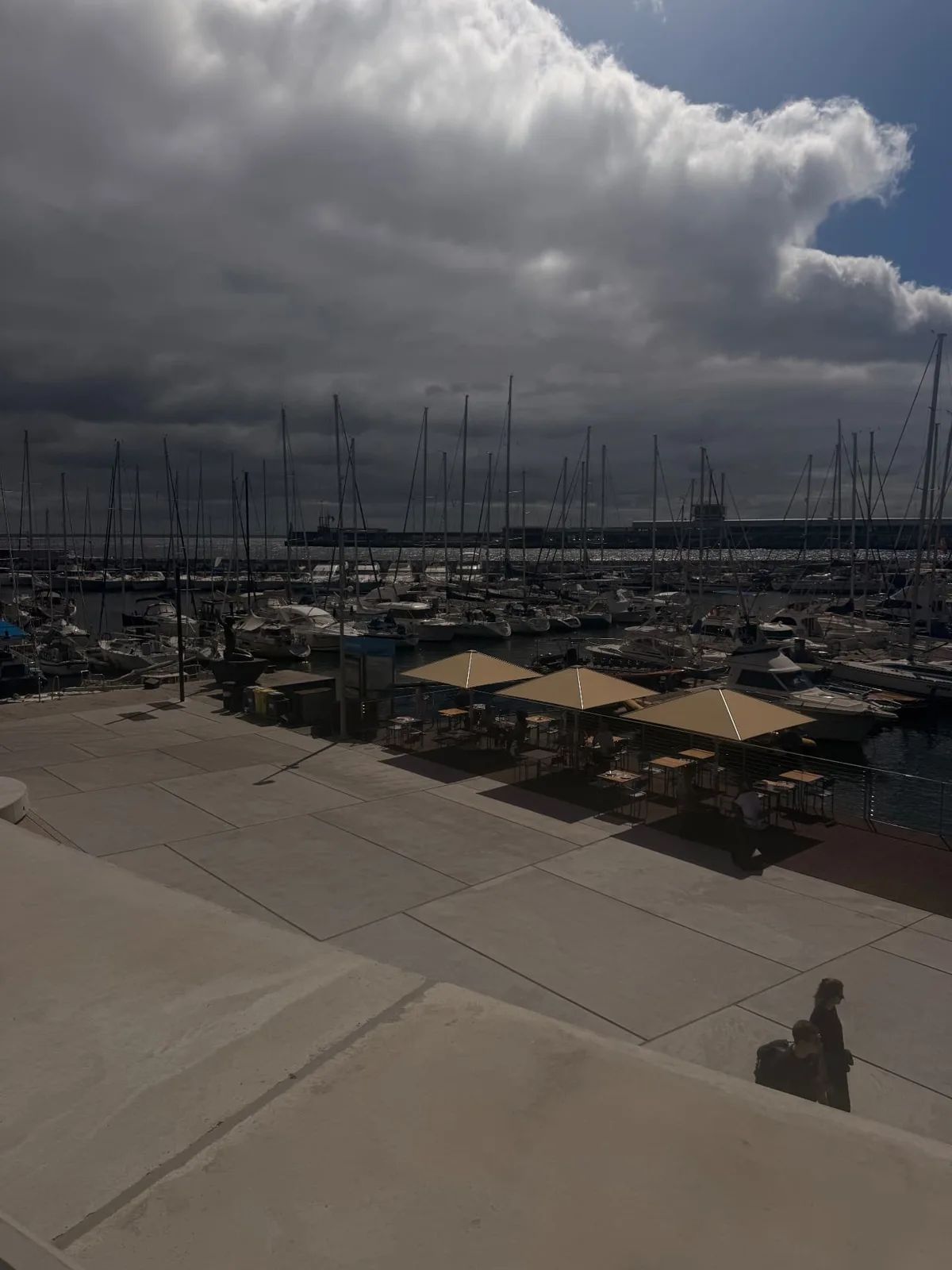 Marisqueira na Marina terrace seen from the promenade above Funchal Marina