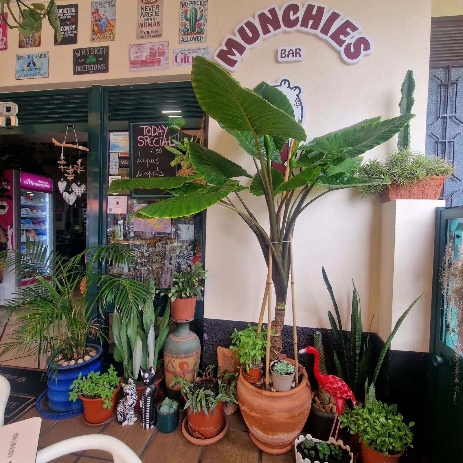 Entrada repleta de plantas do Munchies Restaurante & Bar, no Caniço, na Madeira, com palmeiras em vasos, cactos e placas de lata engraçadas à volta da porta de entrada