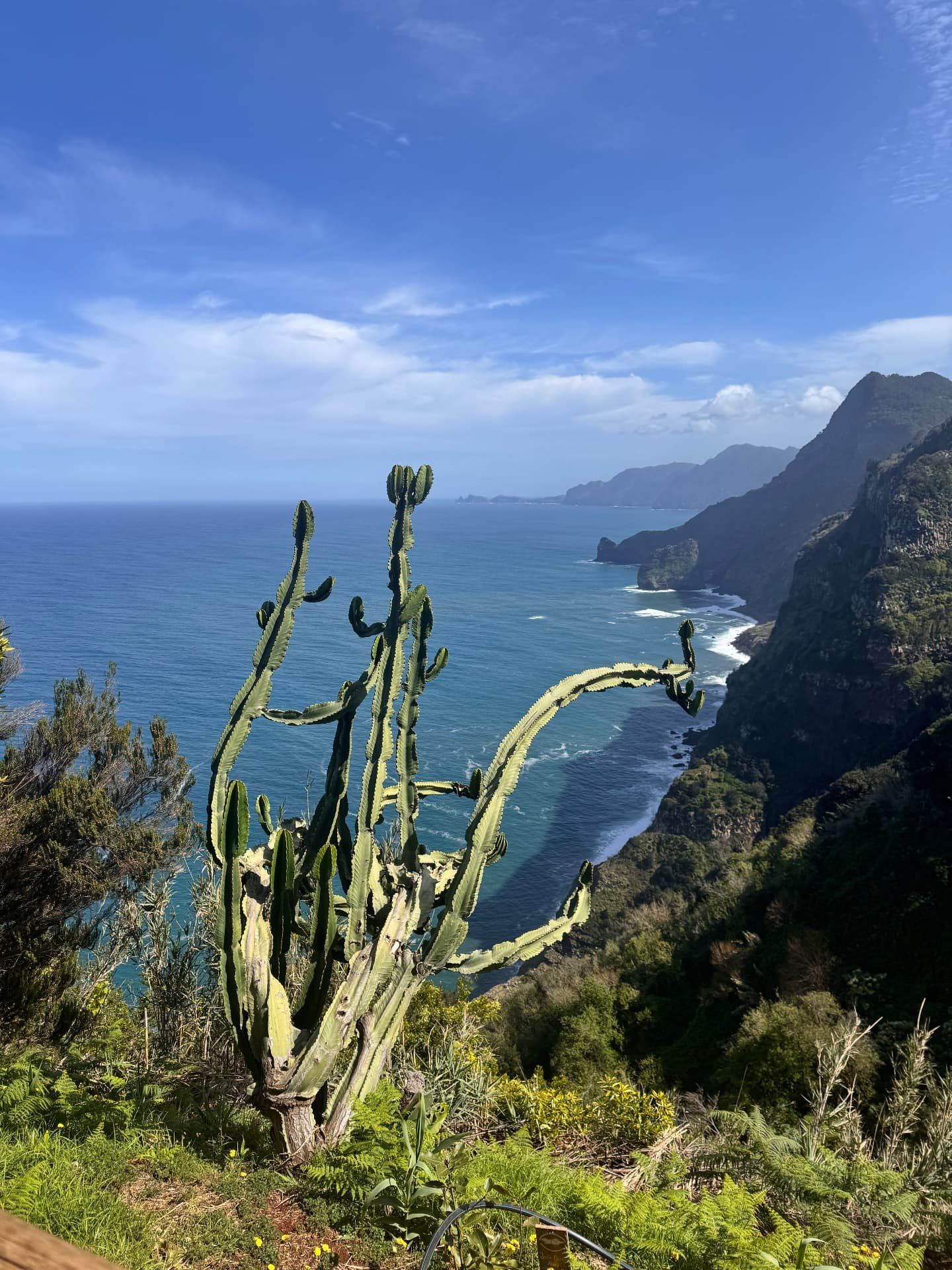 Vista das falésias da costa norte da Madeira e do Atlântico a partir da Quinta do Furao, em Santana