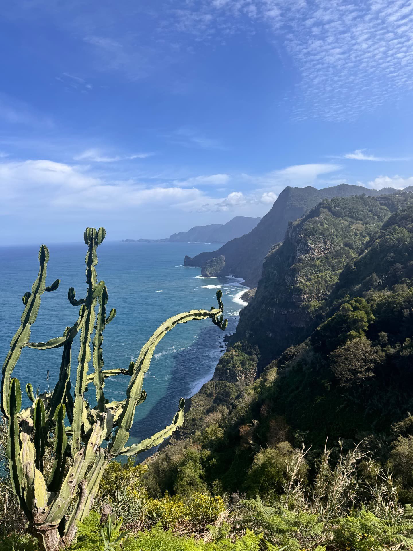 Penhascos verdes e o azul do Atlântico ao longo da costa de Santana, vistos da Quinta do Furao