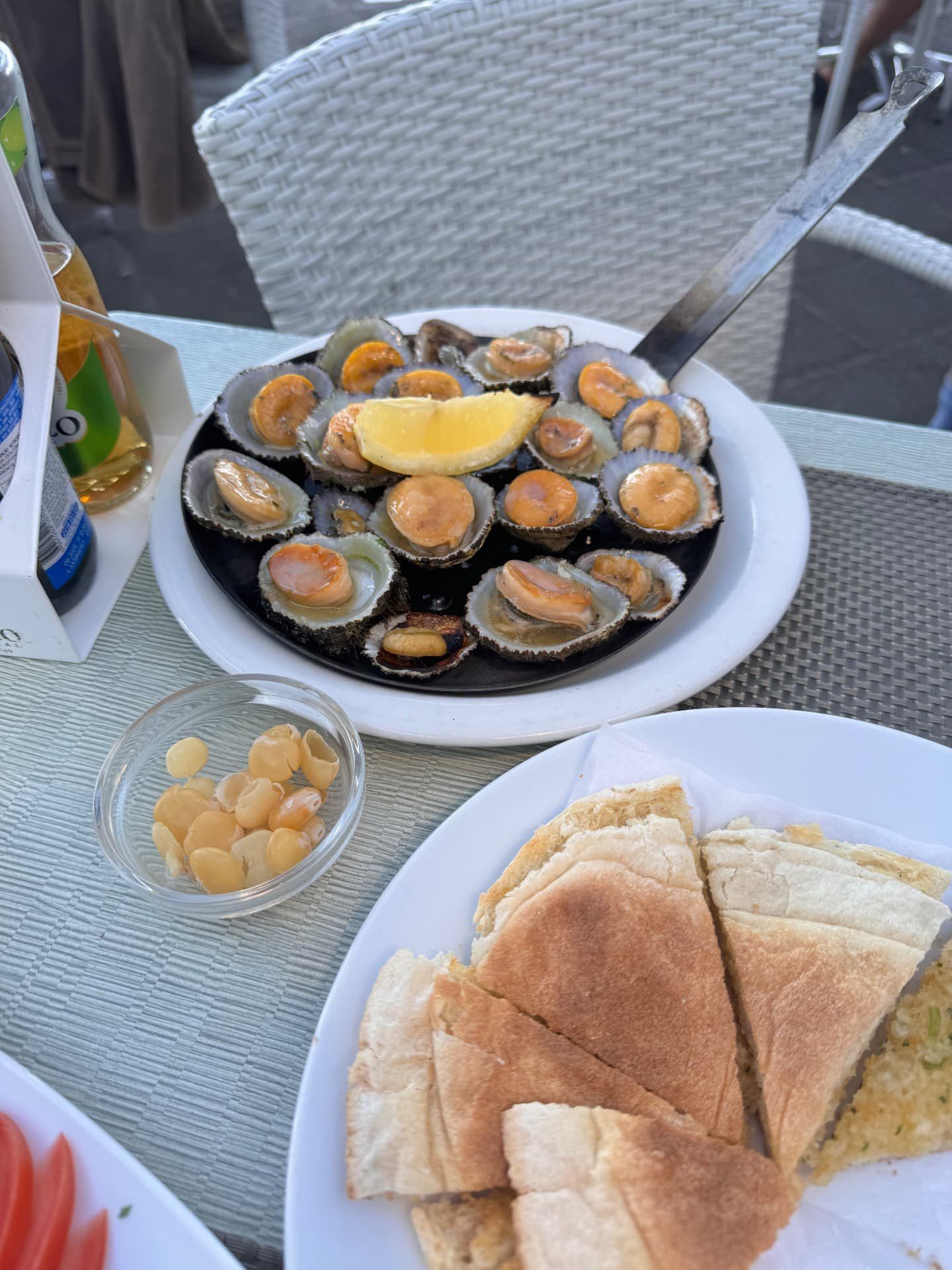 Grilled Madeiran limpets with lemon, lupin beans and bolo do caco garlic bread at Restaurante Praia dos Reis Magos, Caniço de Baixo, Madeira