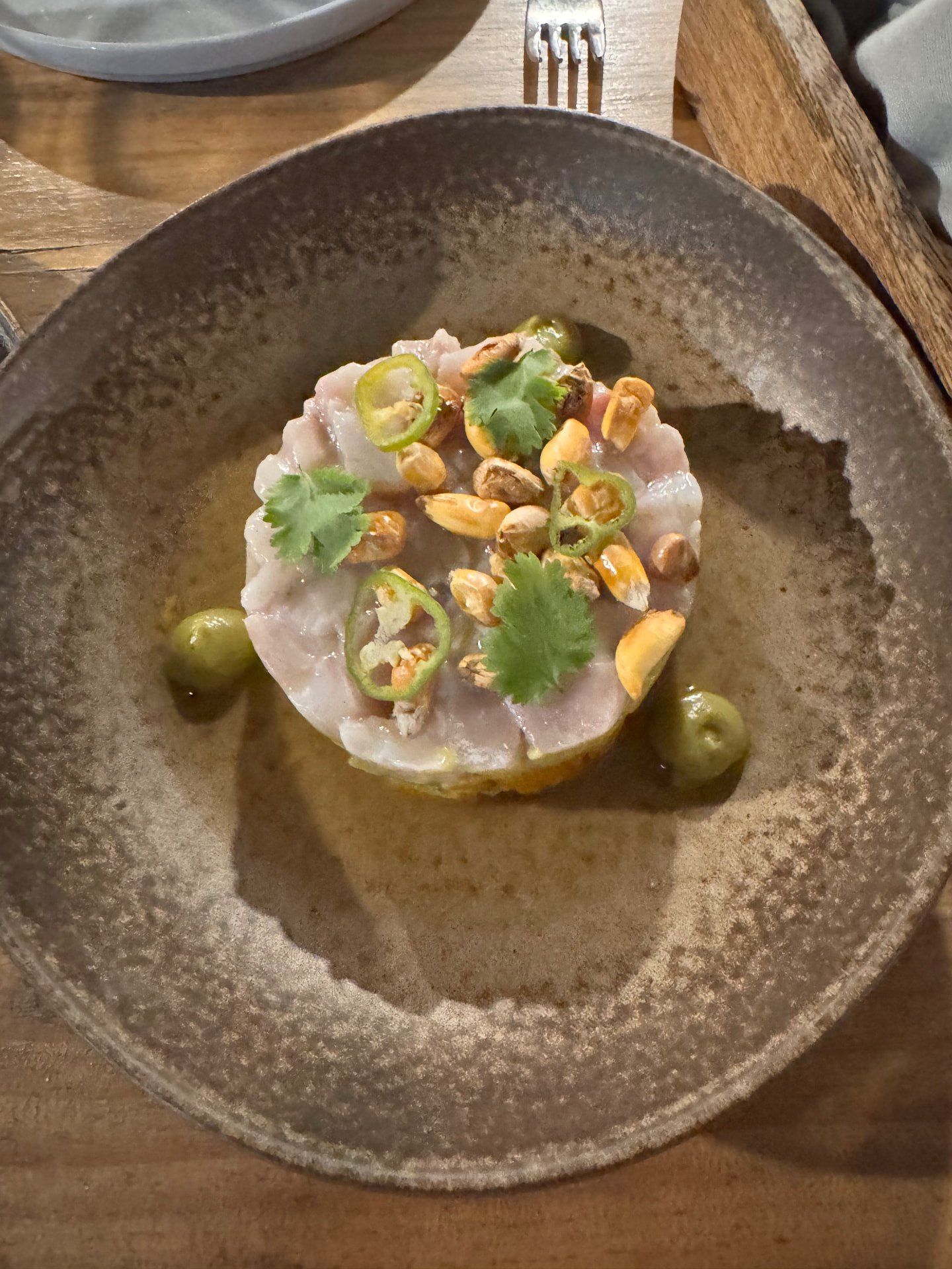 Fish tartare with toasted cancha corn, green chilli and coriander at Terra Food Concept in Funchal, Madeira