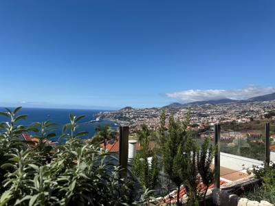 View from O Zarco restaurant over Funchal bay with a cruise ship in the harbour
