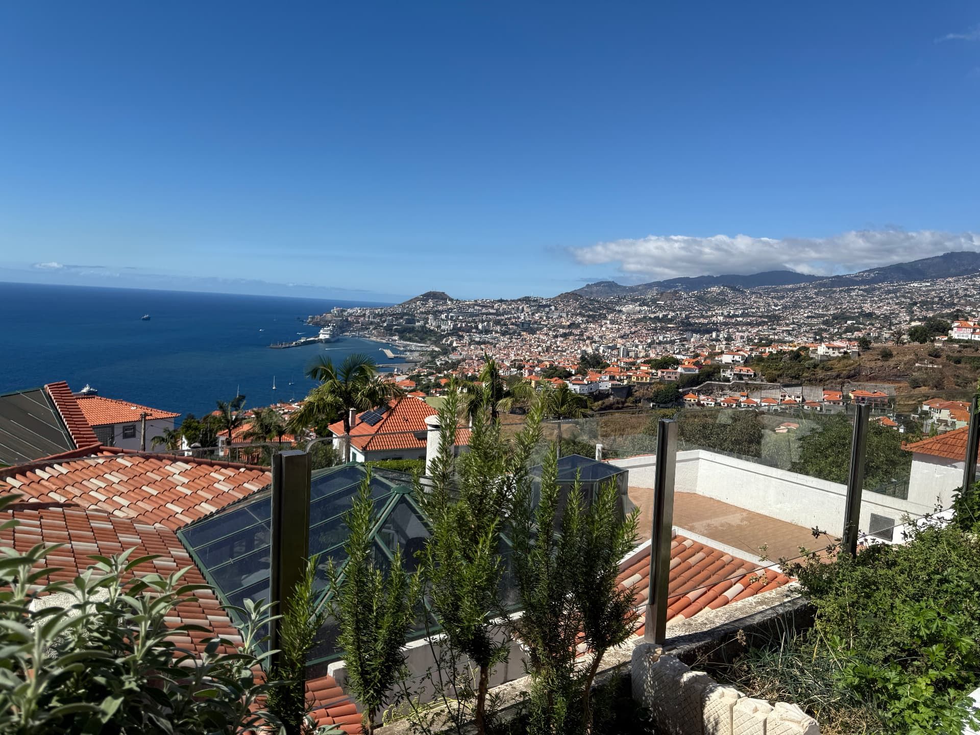 View over Funchal rooftops and amphitheatre from O Zarco restaurant