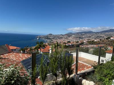 View over Funchal rooftops and amphitheatre from O Zarco restaurant