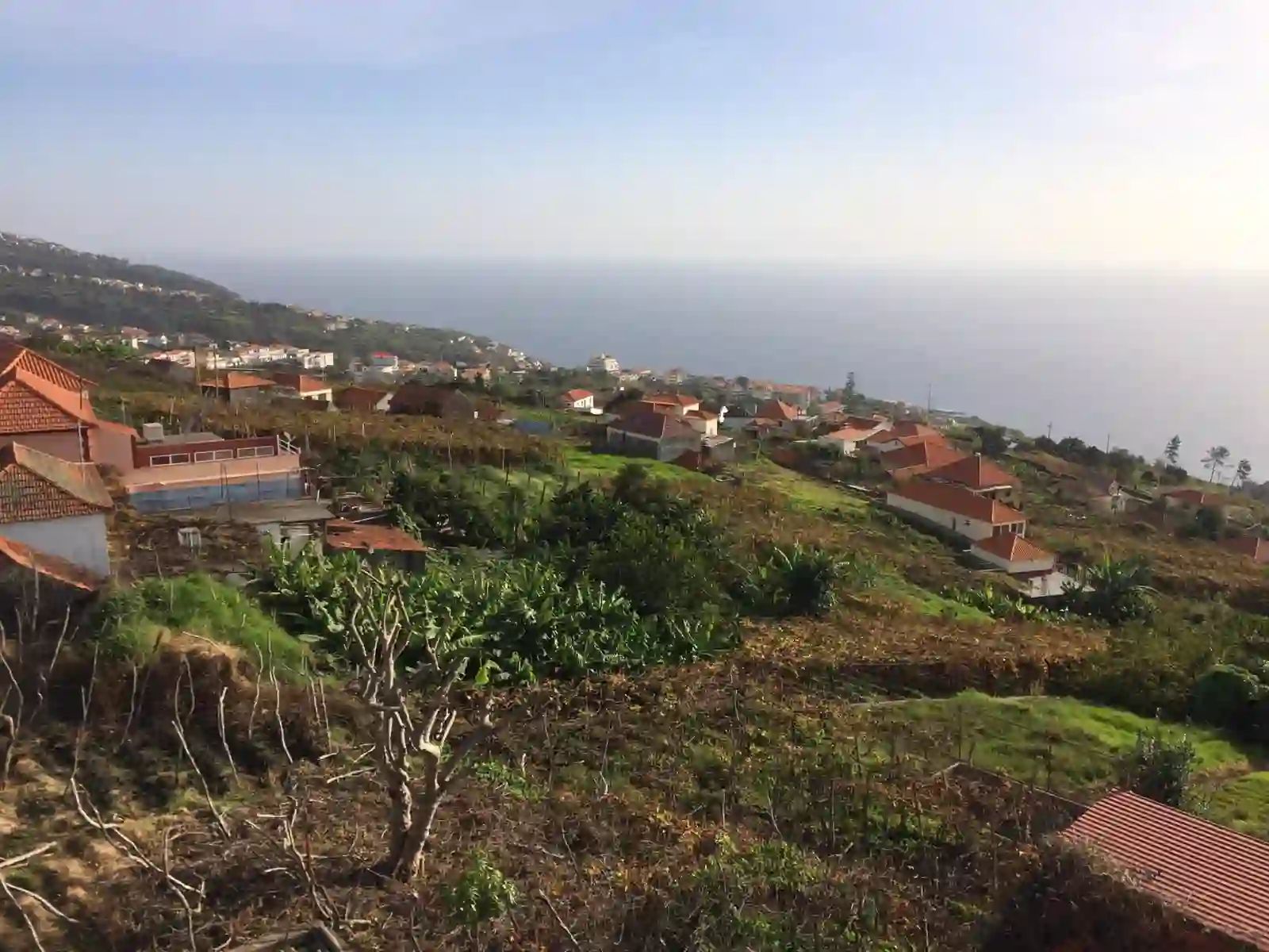 Telhados de telhas vermelhas e campos em socalcos de Estreito da Calheta, sobre o mar