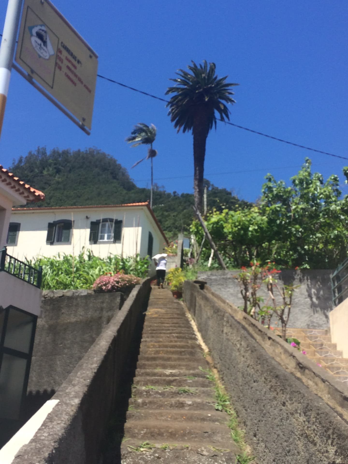 Stone steps in Faial village between whitewashed houses under a deep blue sky
