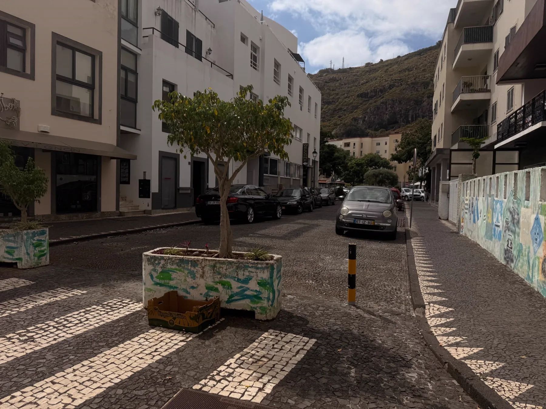 Rua de calçada e floreiras pintadas junto à Praça 25 de Abril, em Machico, com a encosta ao fundo.