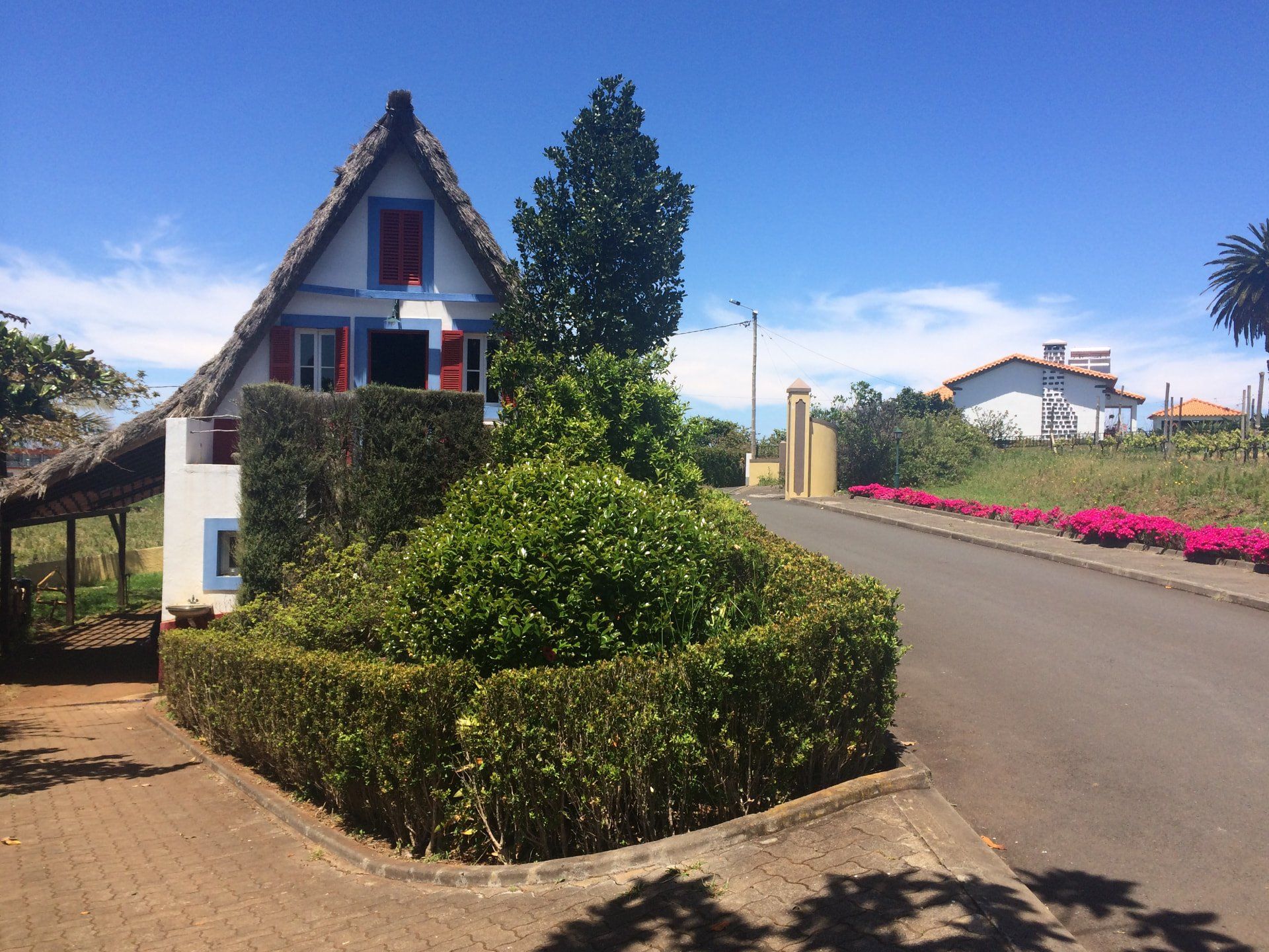 Casa tradicional de Santana, junto à estrada, com jardins e buganvílias