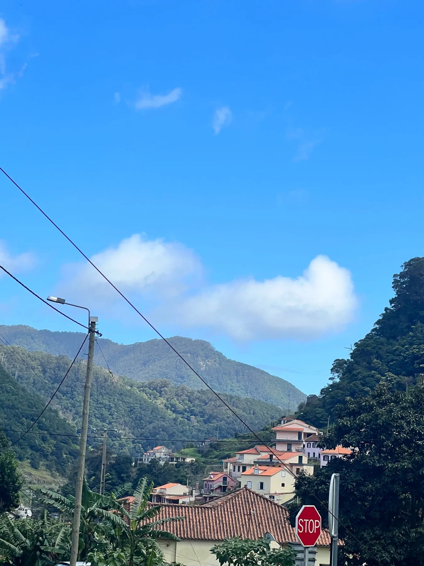 Forested valley and village houses under a blue sky in Santo António da Serra