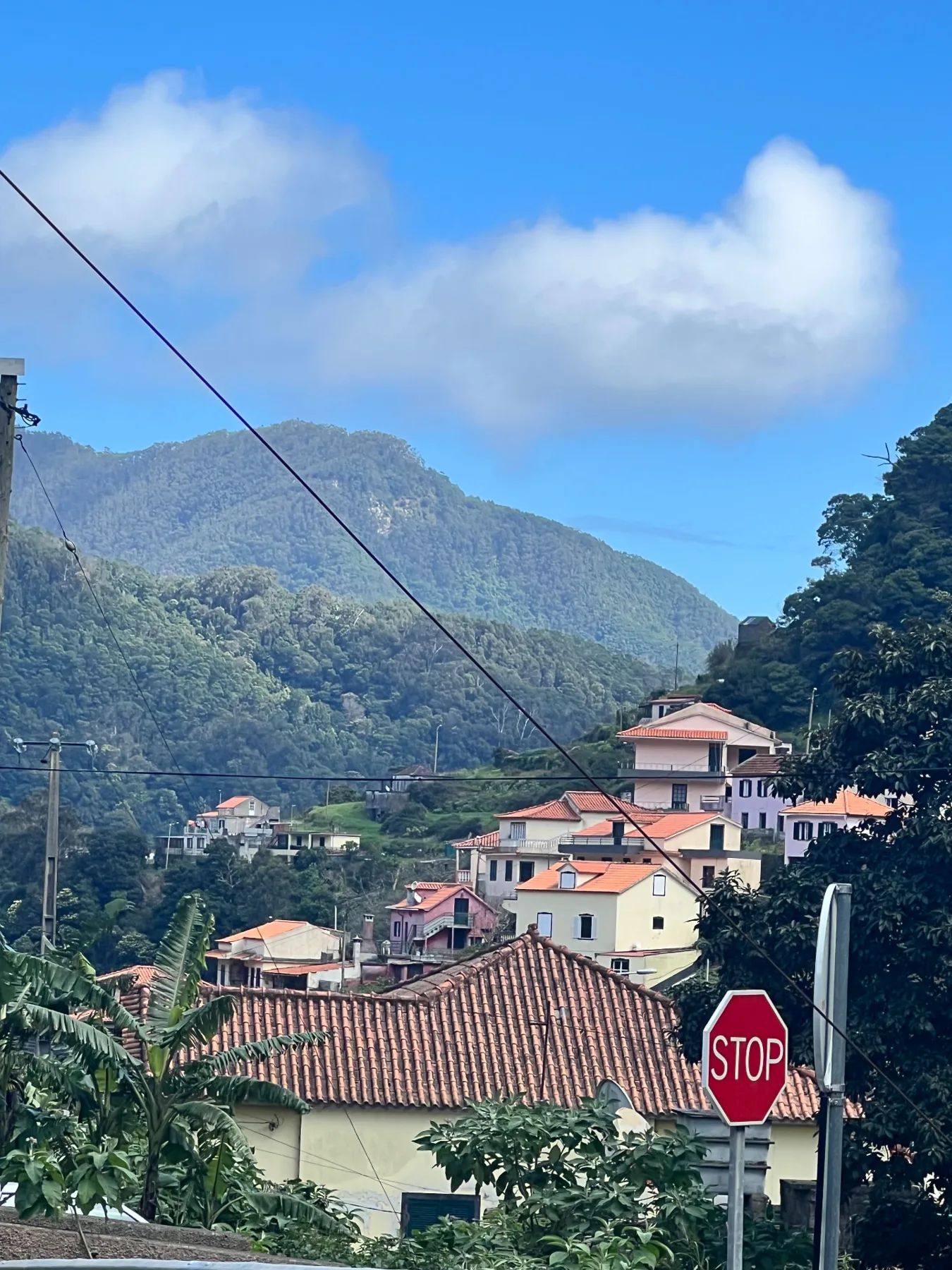 Houses with orange roofs on a green hillside below forested peaks in Santo António da Serra