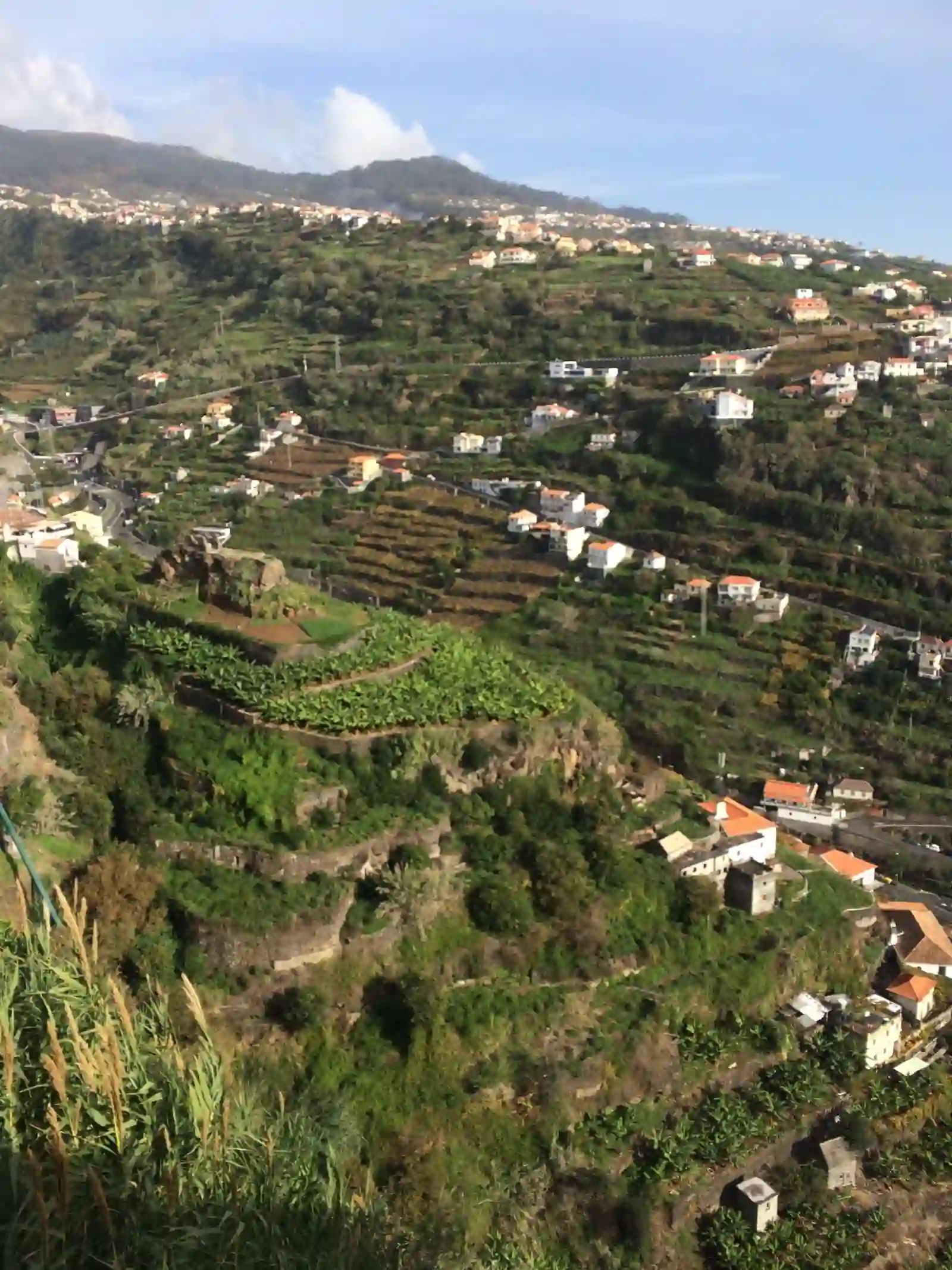 Terraços de bananeiras e pequenas quintas acima da Calheta