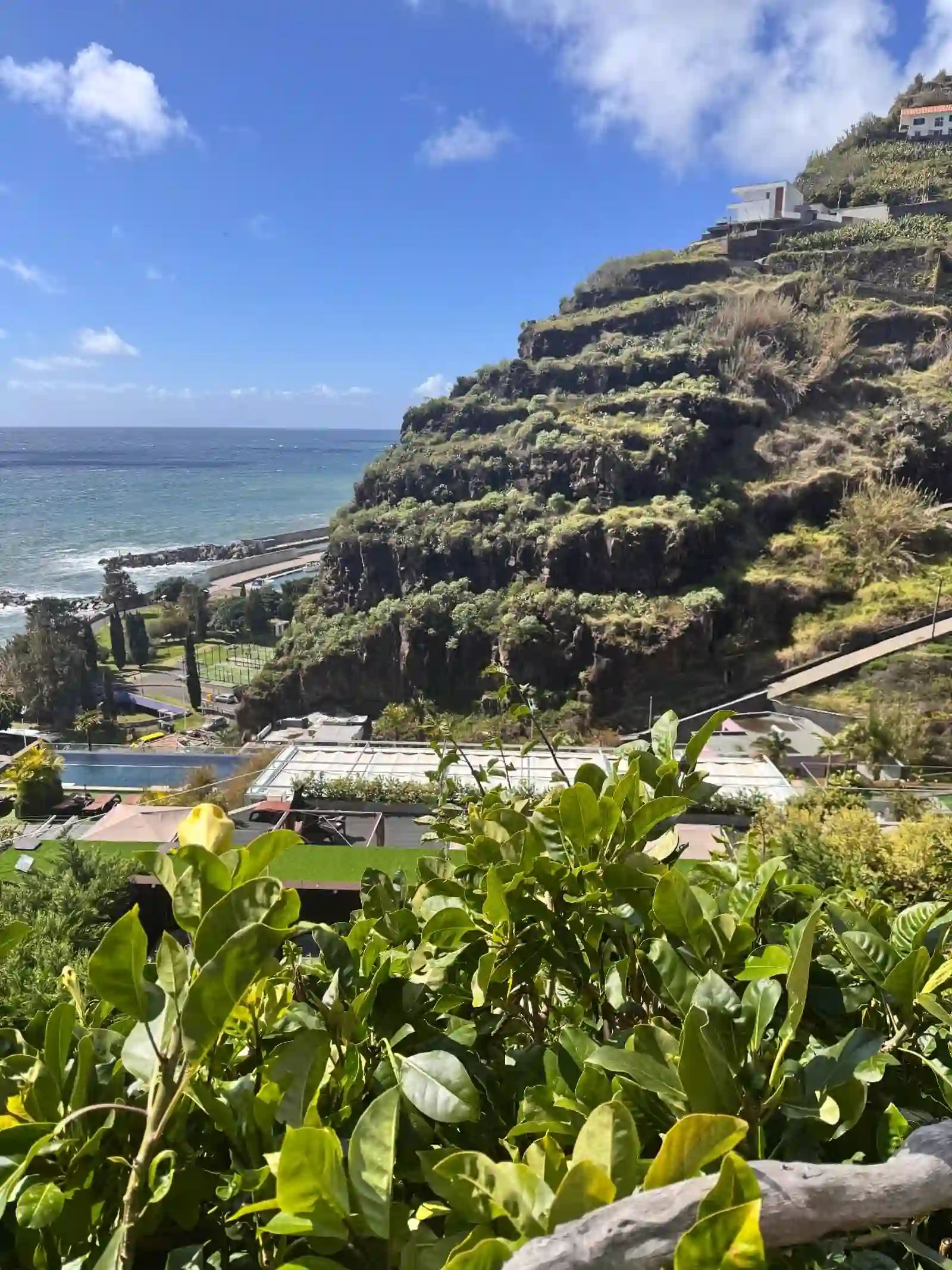 Green terraced cliffs falling to the sea at Calheta