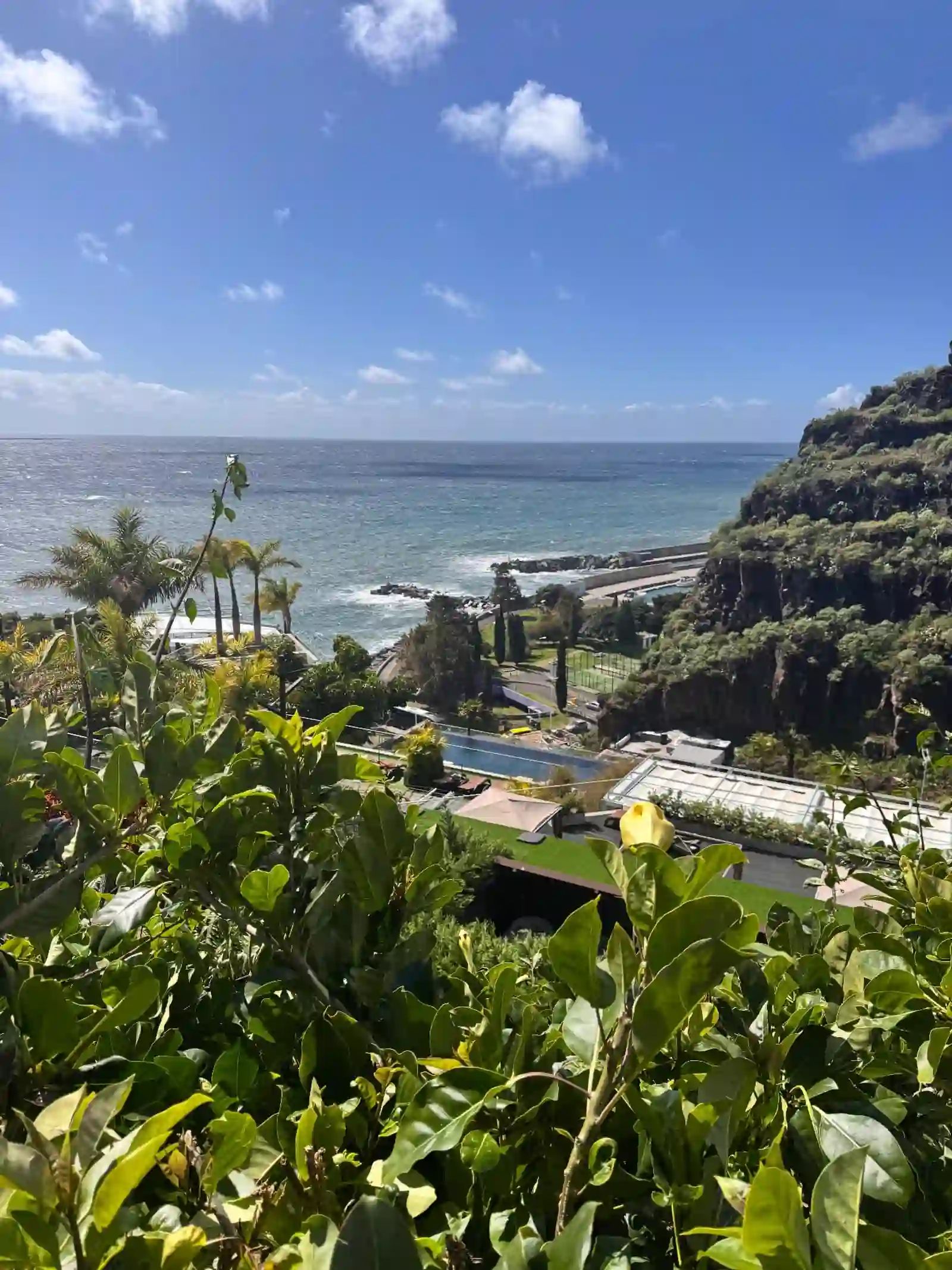 Palmeiras e a costa atlântica em Calheta, sob um céu azul