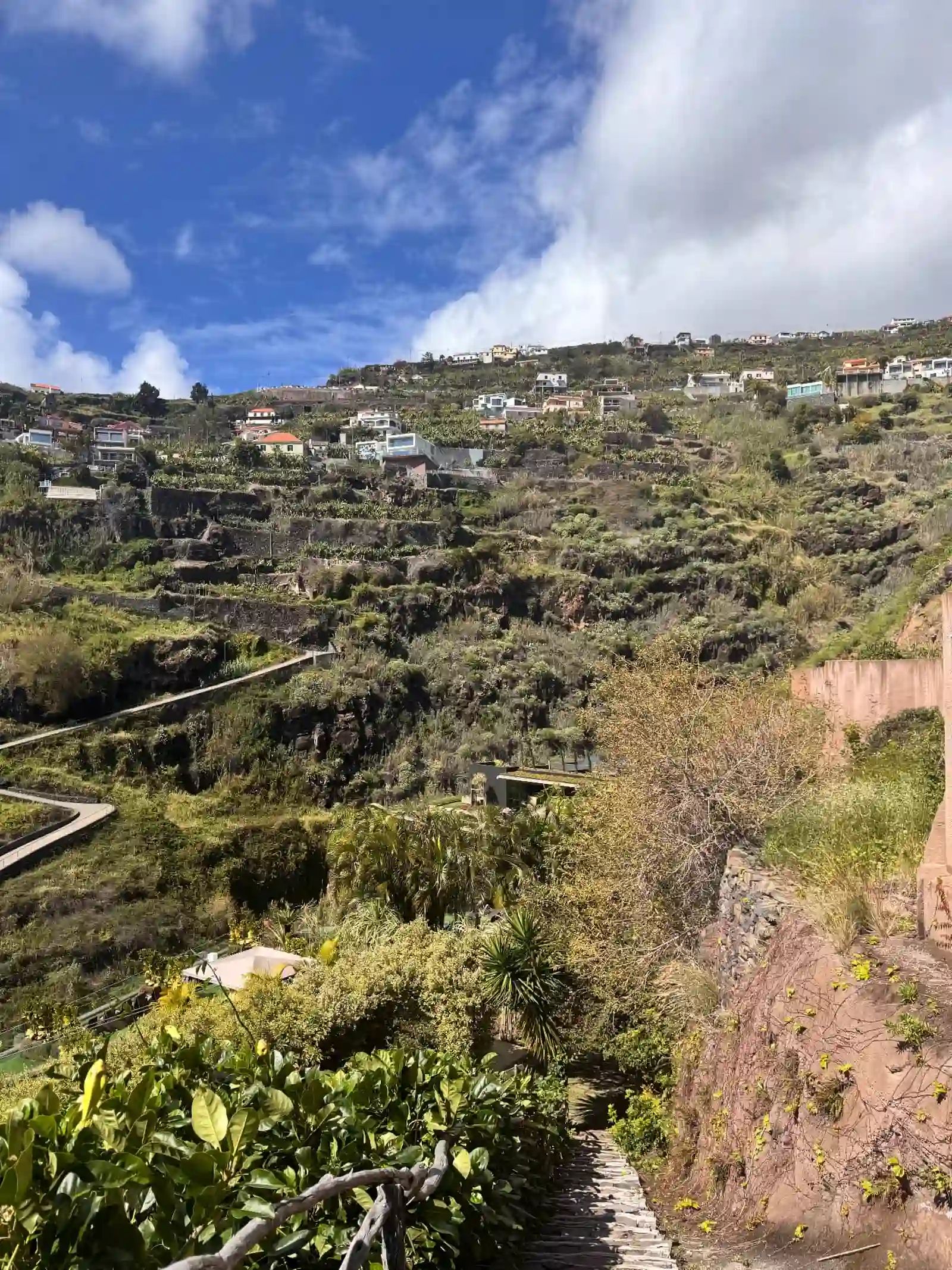 Stone path with rustic railings descending through terraced hillsides above Calheta
