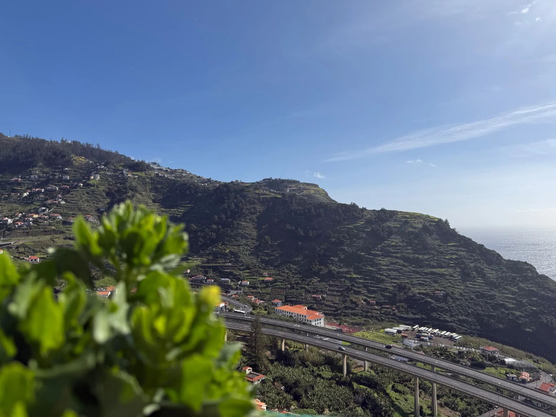Terraced hillside and scattered houses above the expressway at Campanário