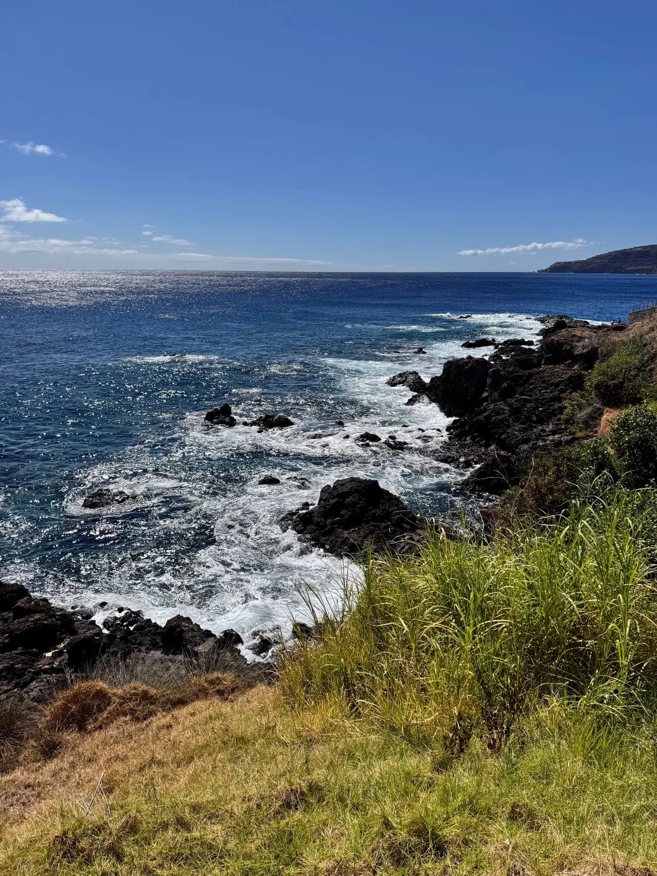 Ondas a rebentar nas rochas vulcânicas escuras ao longo da costa do Caniçal