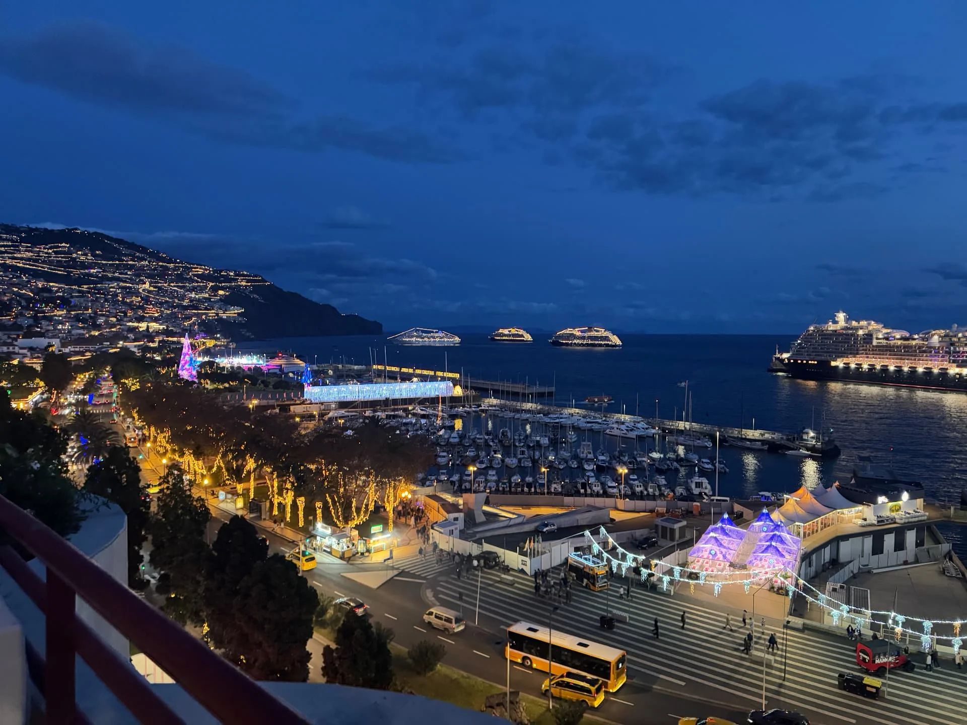 Funchal marina and harbour at night with cruise ships anchored offshore and the hillside city lights behind, Madeira