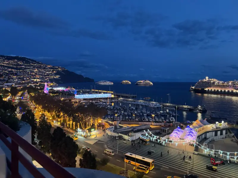 Funchal marina and harbour at night with cruise ships anchored offshore and the hillside city lights behind, Madeira