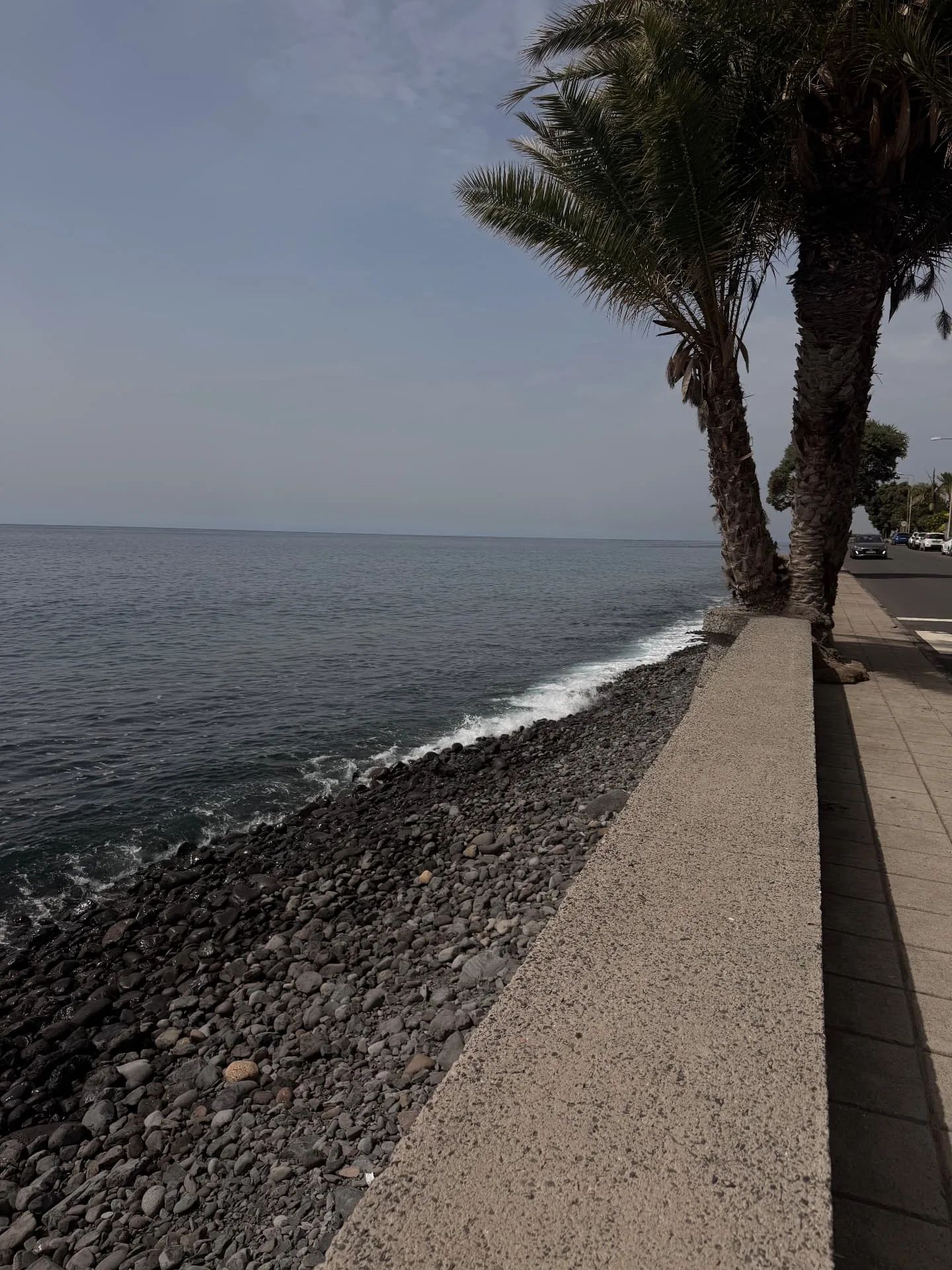 Pebble shore and palm-lined seafront road at Madalena do Mar