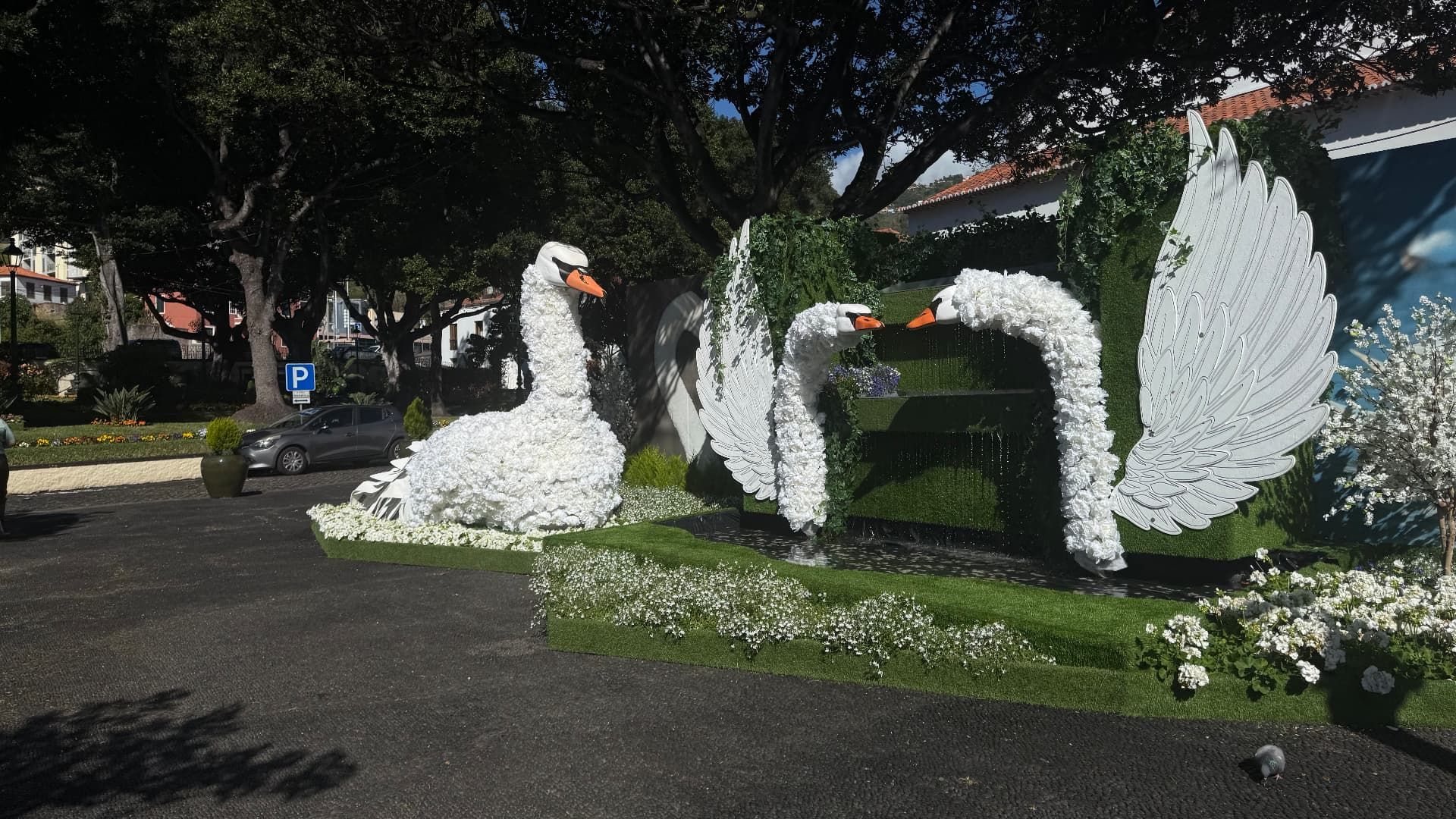 Cisnes brancos feitos de flores junto a uma fonte em degraus na exposição floral de Santa Cruz, Madeira