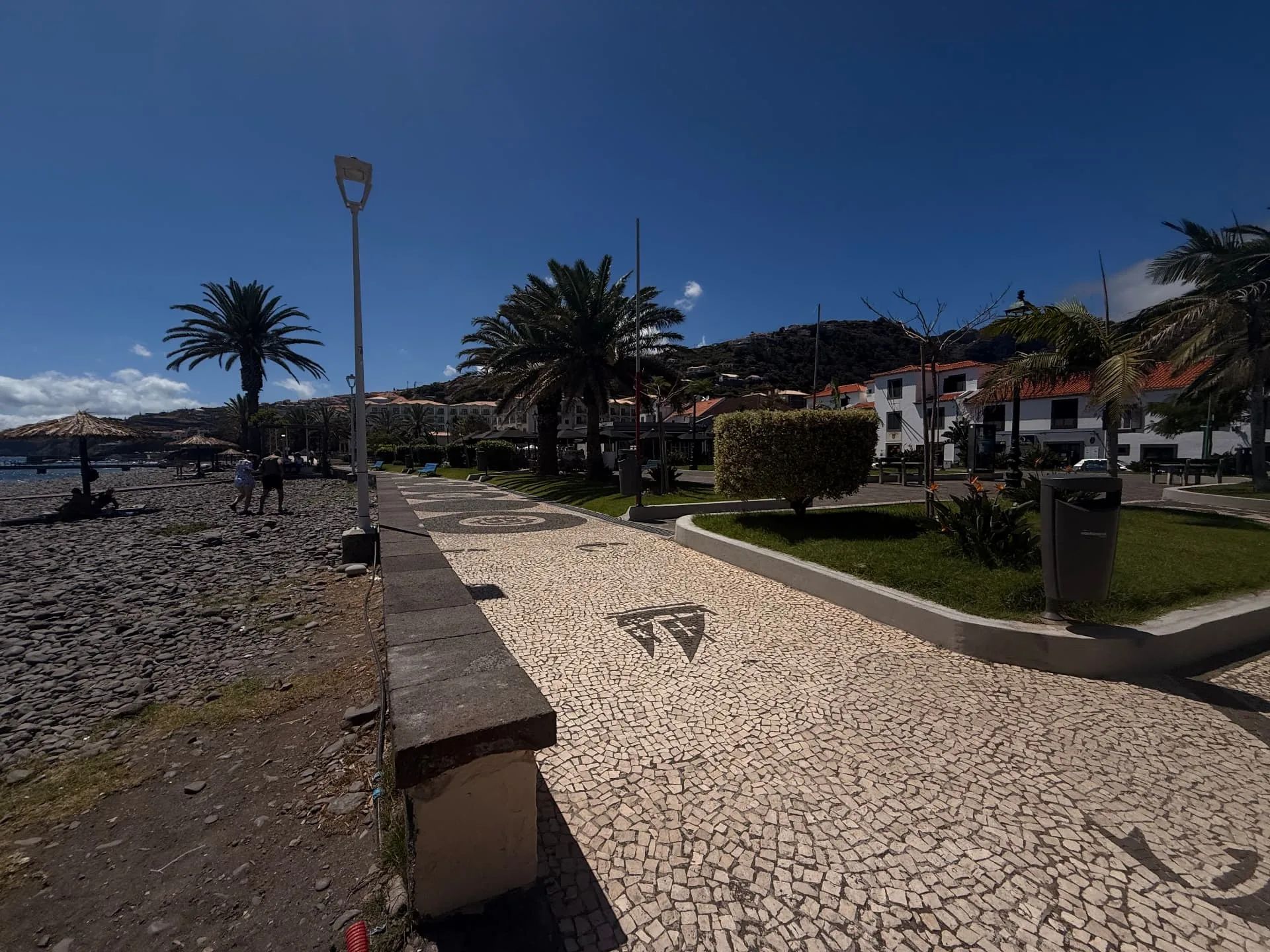 Santa Cruz seafront promenade lined with palms beside the pebble beach