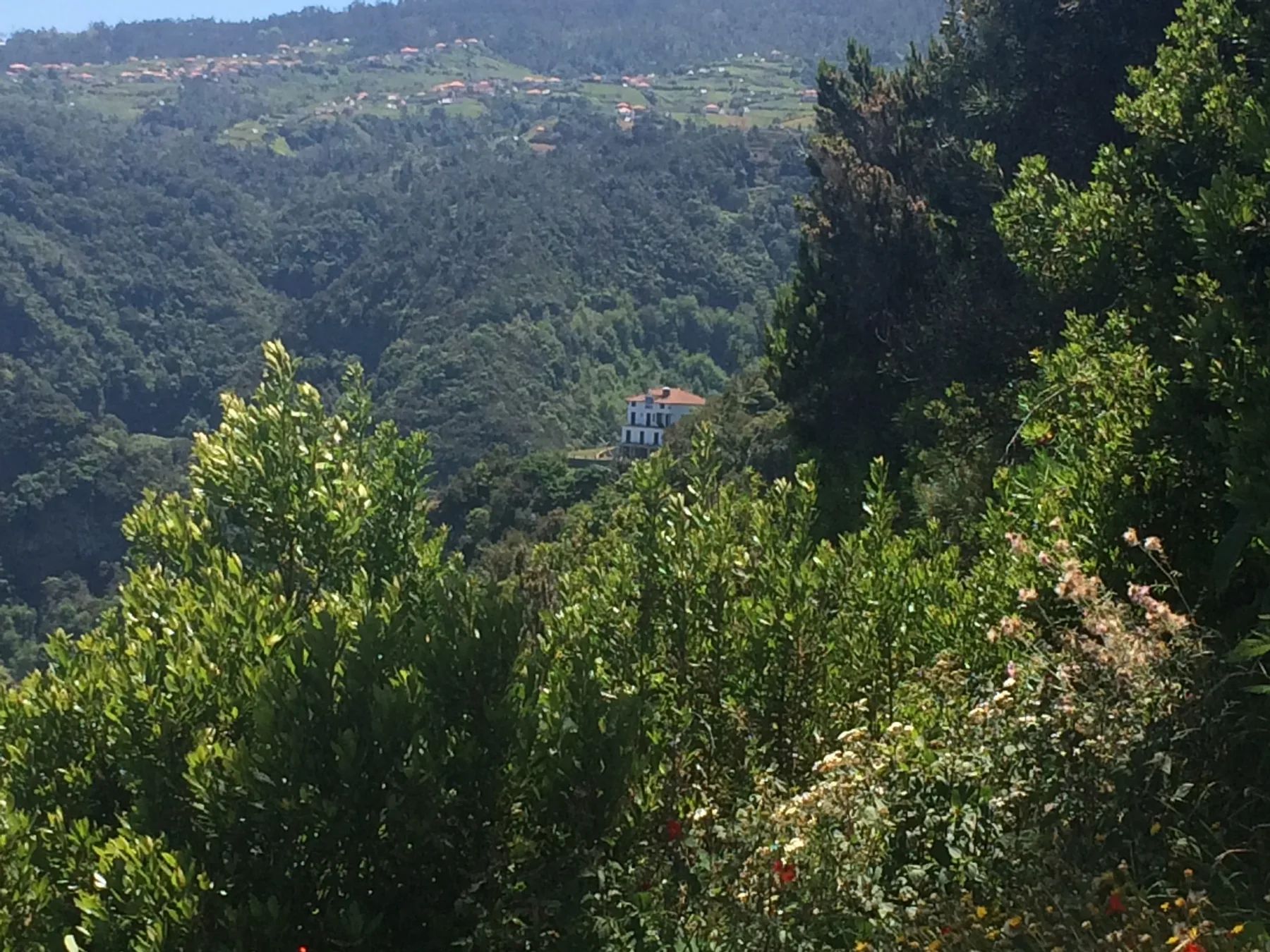Deep laurisilva-filled valley at São Jorge, with a lone house and terraced fields on the far ridge