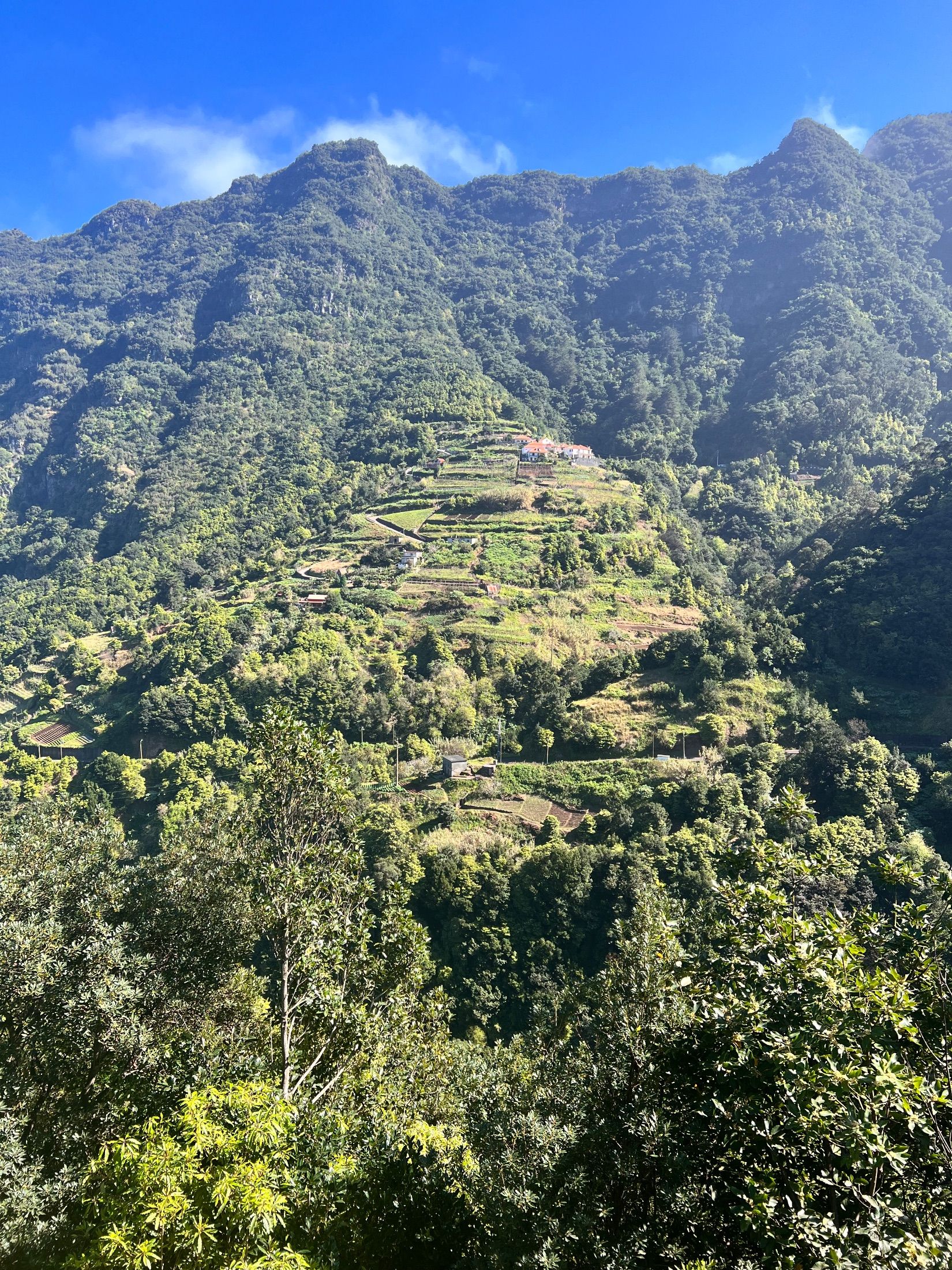 Campos em socalcos e casas de telhados vermelhos numa encosta sob montanhas arborizadas e íngremes