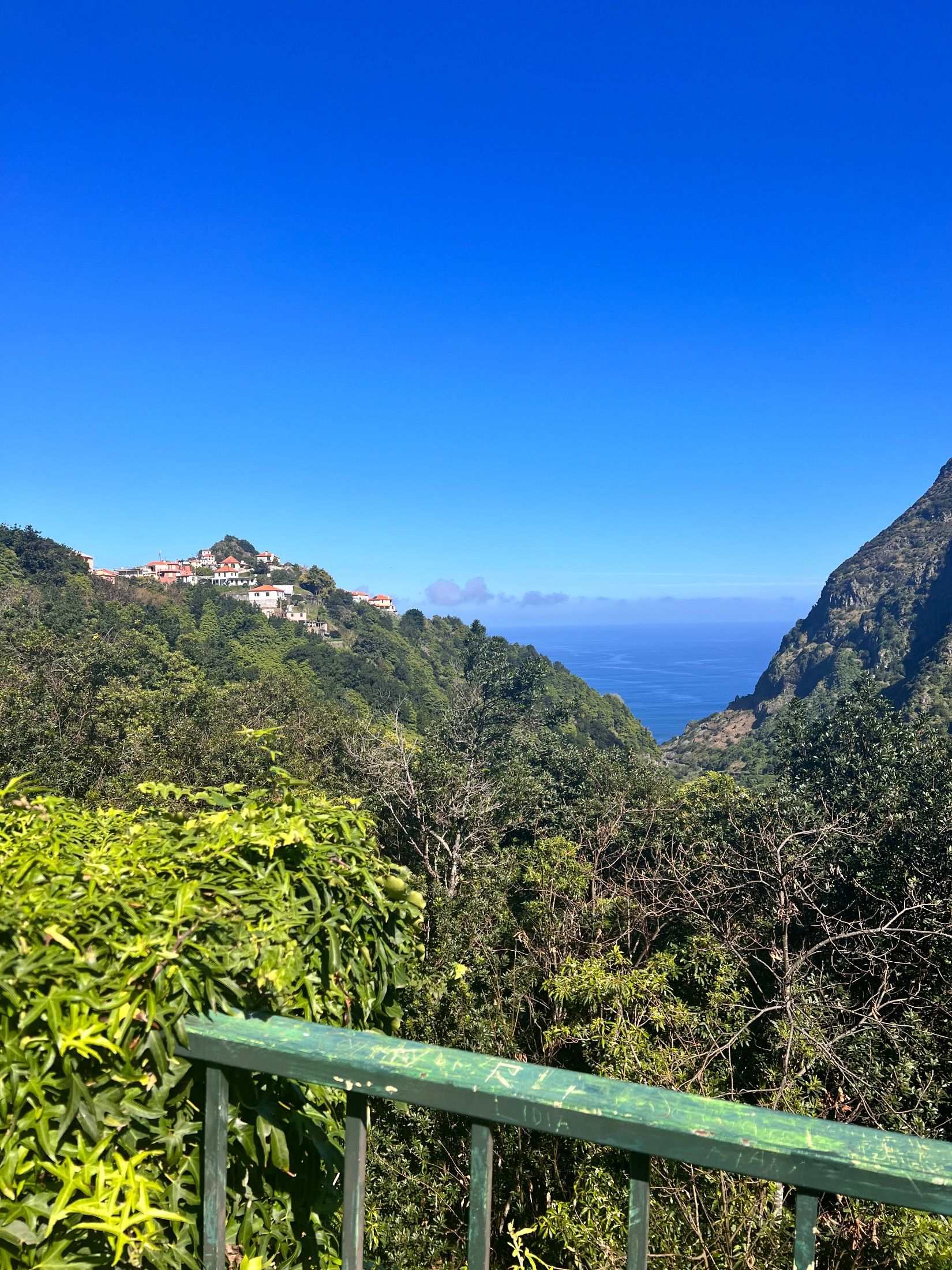 Casas de telhados vermelhos sobre um vale arborizado aberto ao mar, com gradeamento verde