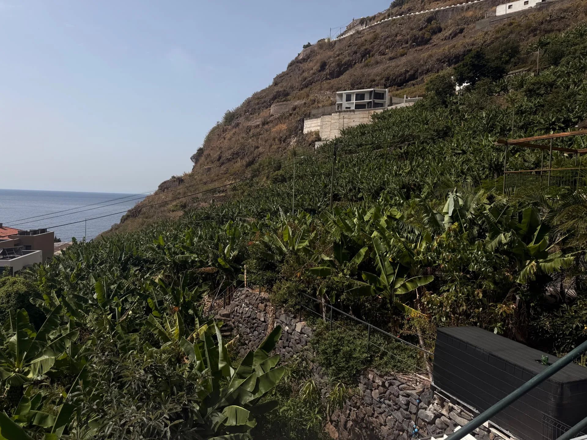 Terraços de bananeiras que sobem pela falésia em direção ao mar, em Tabua