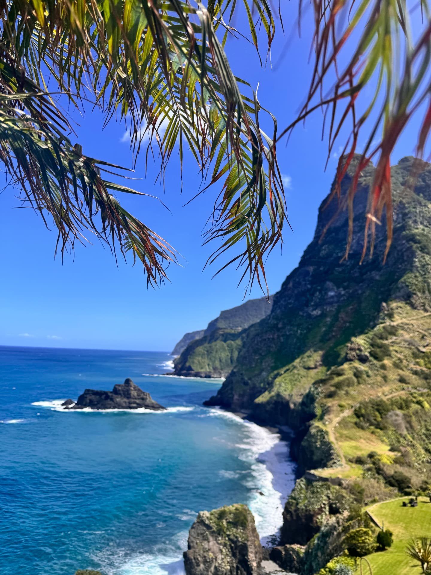 Palm-framed view of the cliffs and black-sand cove below Miradouro de São Cristóvão, Boaventura
