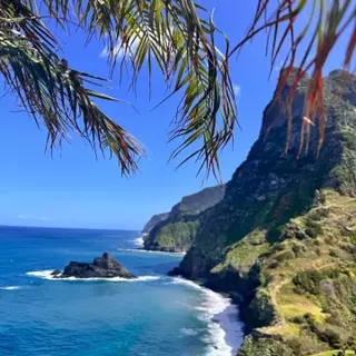 Palm-framed view of the cliffs and black-sand cove below Miradouro de São Cristóvão, Boaventura
