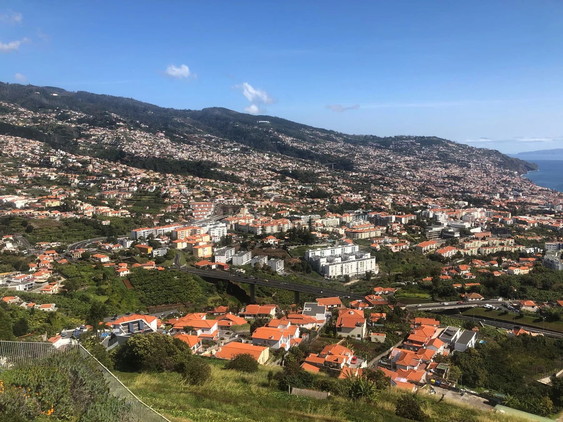 Sunny panorama from Pico dos Barcelos over the Funchal amphitheatre of rooftops