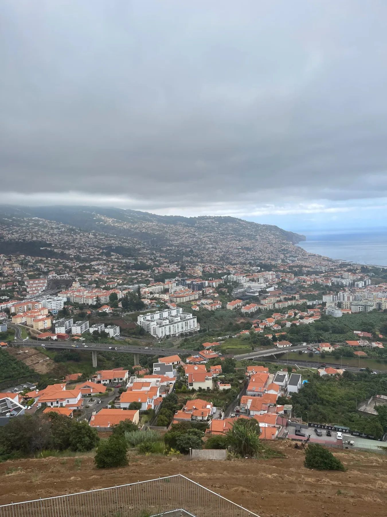 View from Pico dos Barcelos towards Funchal bay and the Garajau headland under a grey sky